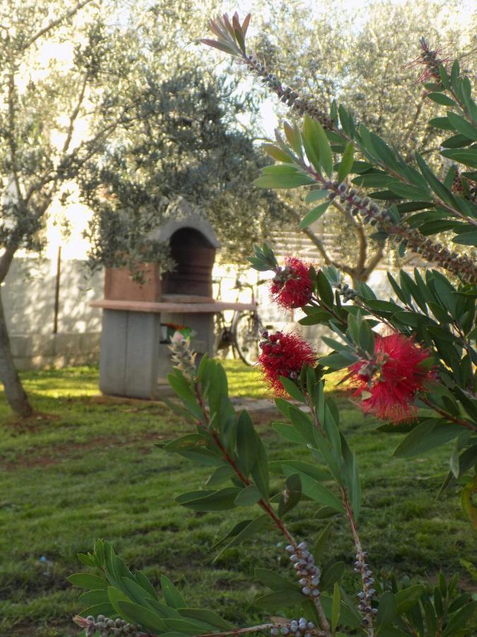 Villa Twins à Rosini Extérieur photo